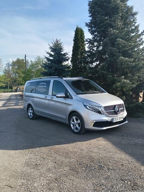 Srebrny karawan marki Mercedes-Benz, zaparkowany na utwardzonej powierzchni, z zielonymi drzewami i błękitnym niebem w tle.